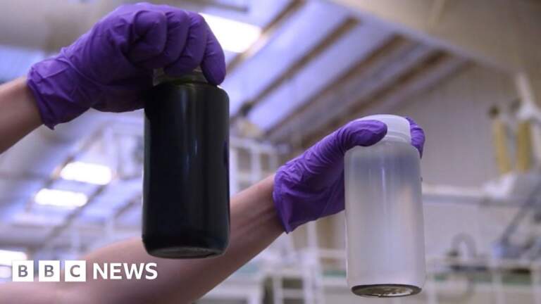 The firms looking to destroy harmful ‘forever chemicals’