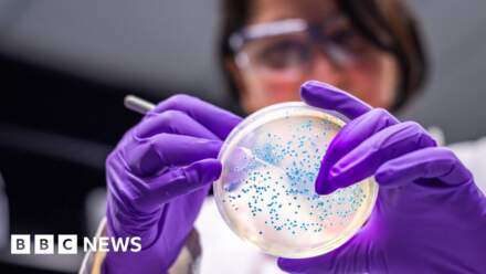 The bacteria turning waste plastic into painkillers