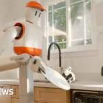 Is this the year domestic robots come in our homes?