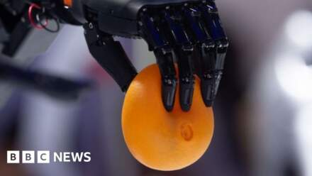 Get a grip: Robotics firms struggle to develop hands