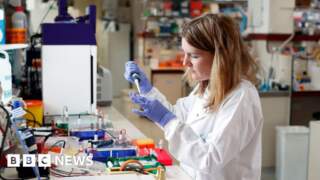 UK's £8bn research fund faces 'hard decisions' as it pauses new grants