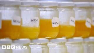 Why food fraud persists, even with improving tech